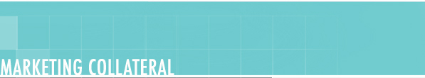 myMarketingManager- We Manage Your Marketing-So You Manage Your Business